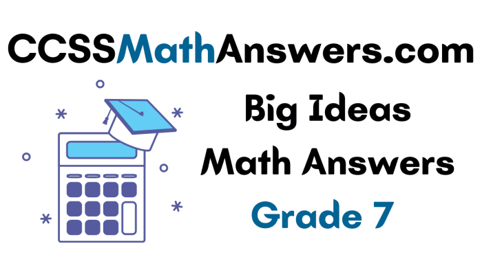 Big ideas math answers chapter 3