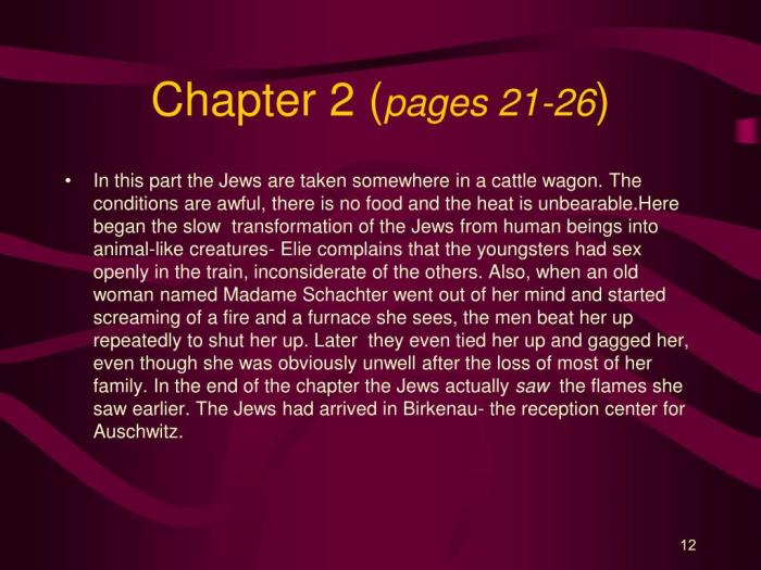 Elie wiesel night chapter 2