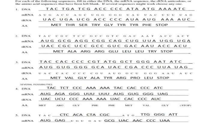 Protein synthesis activity answer key