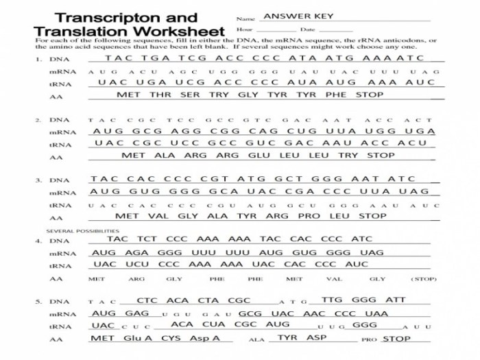 Protein synthesis activity answer key