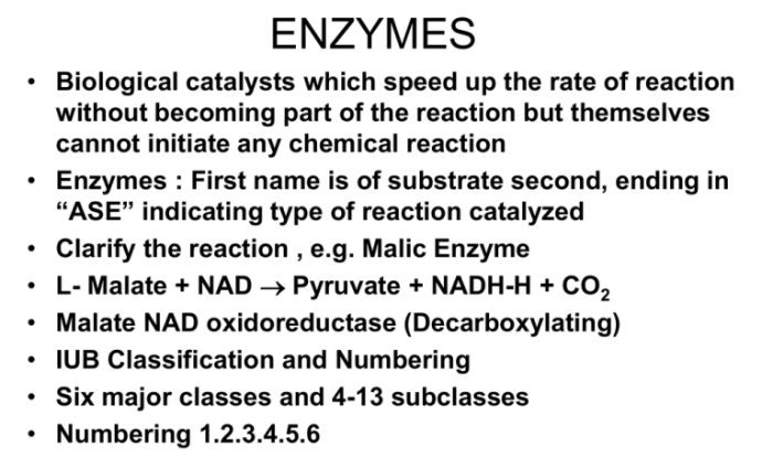 Which of the following is true concerning enzymes