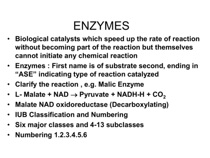 Which of the following is true concerning enzymes