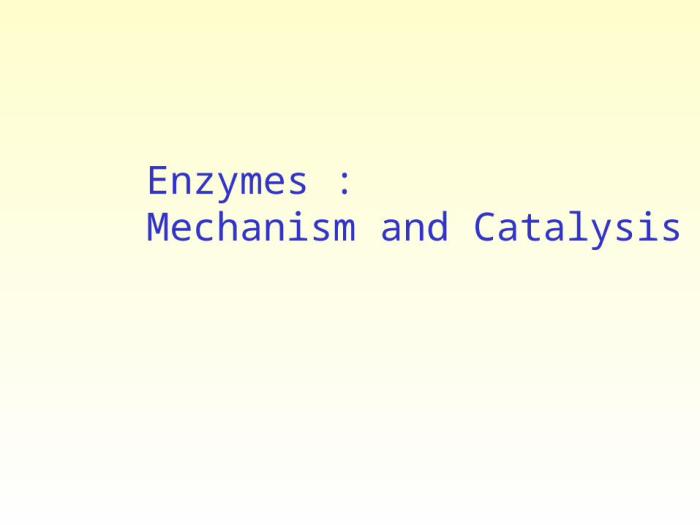 Which of the following is true concerning enzymes