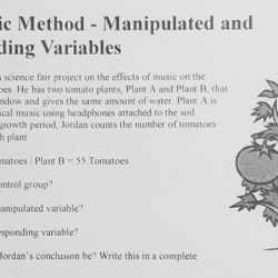 Method variables skills identifying 4th 3rd spelling dependent pearson chessmuseum emasscraft teach experimental