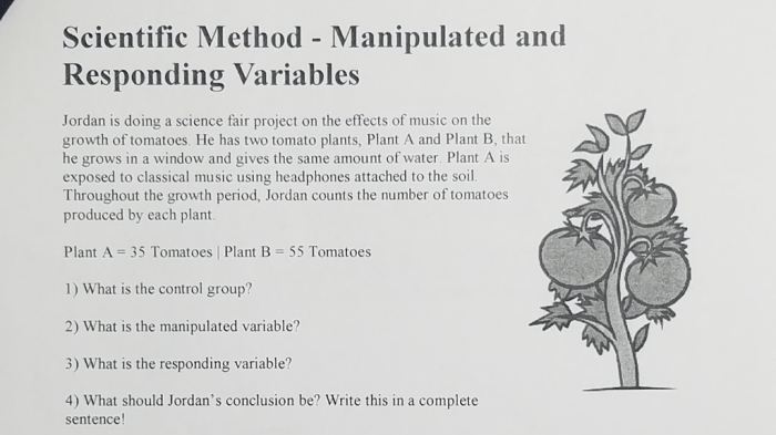 Method variables skills identifying 4th 3rd spelling dependent pearson chessmuseum emasscraft teach experimental